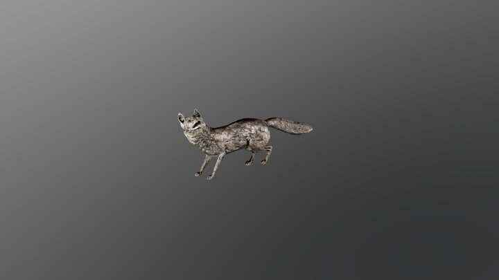 Silver Fox 3D Model