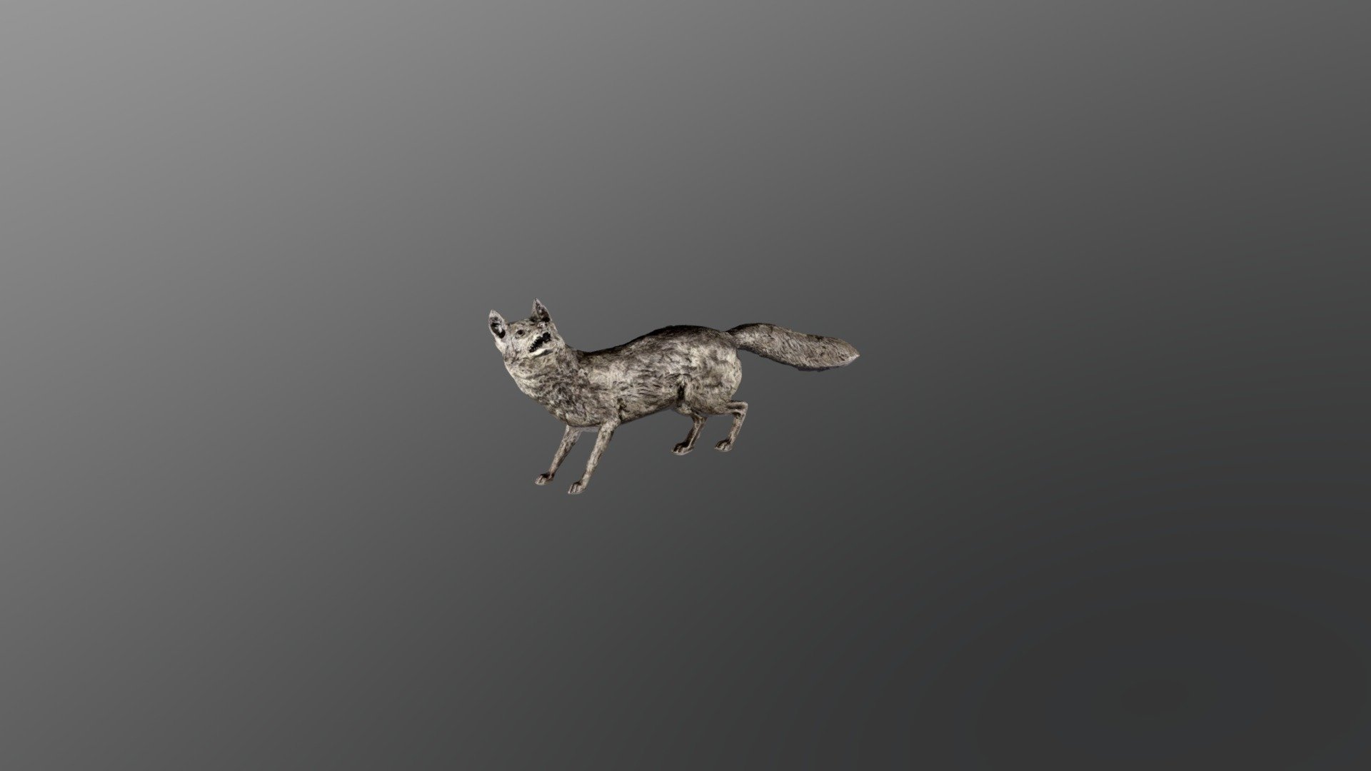 Silver Fox