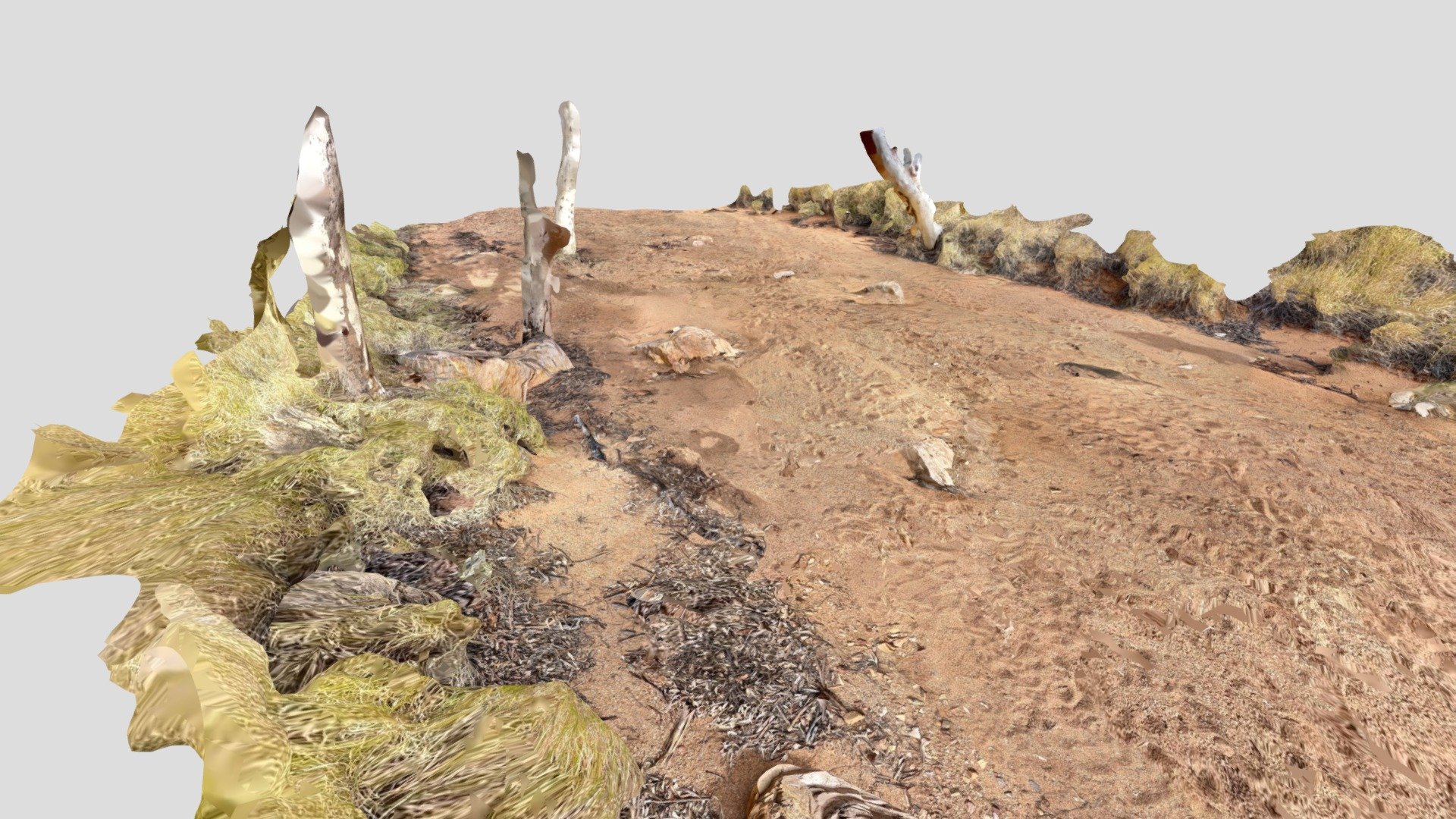 Dry Riverbed - 3D model by feelab [ee672d9] - Sketchfab