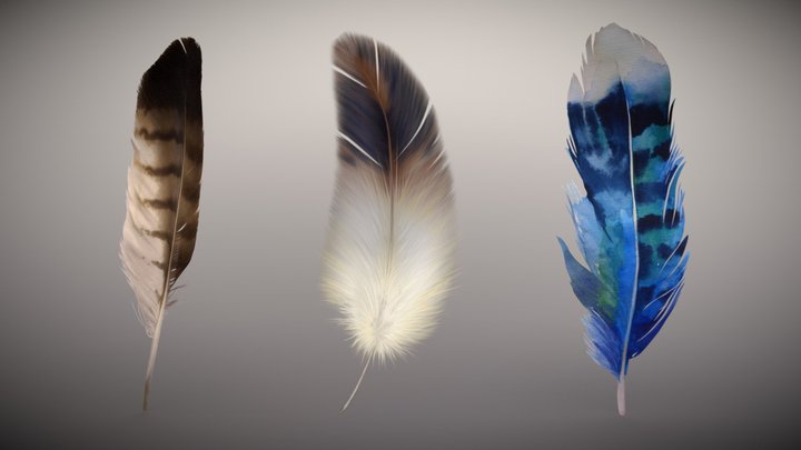 3 Great Feathers Pack 3D Model