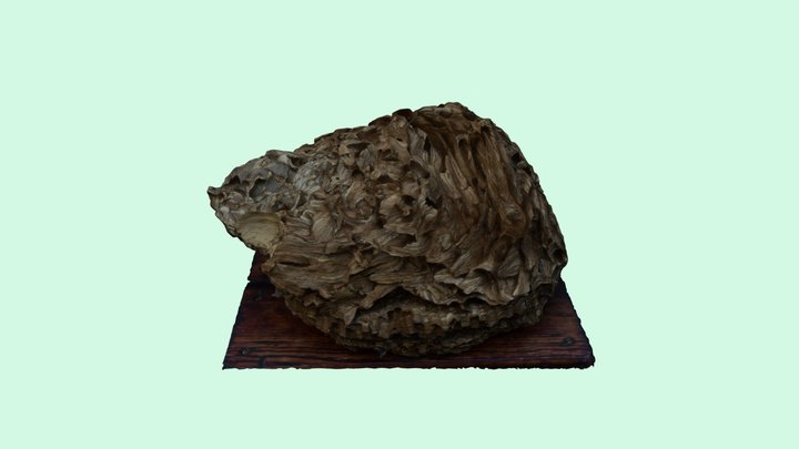 Hornissennest 3D Model