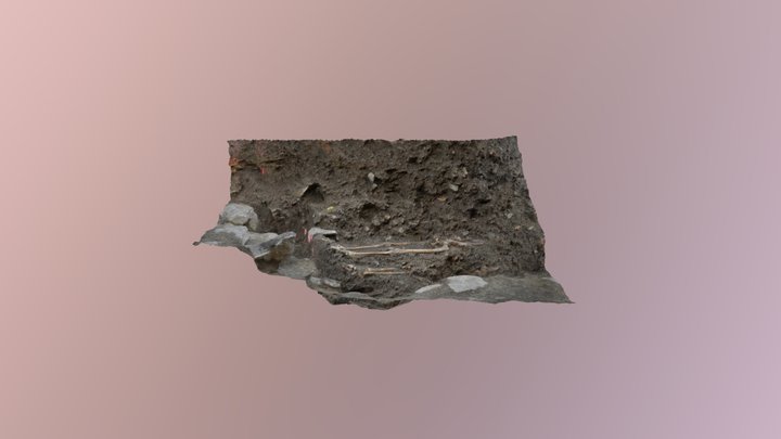 Sezimovo Ústí, klášter - středověký hřbitov 3D Model