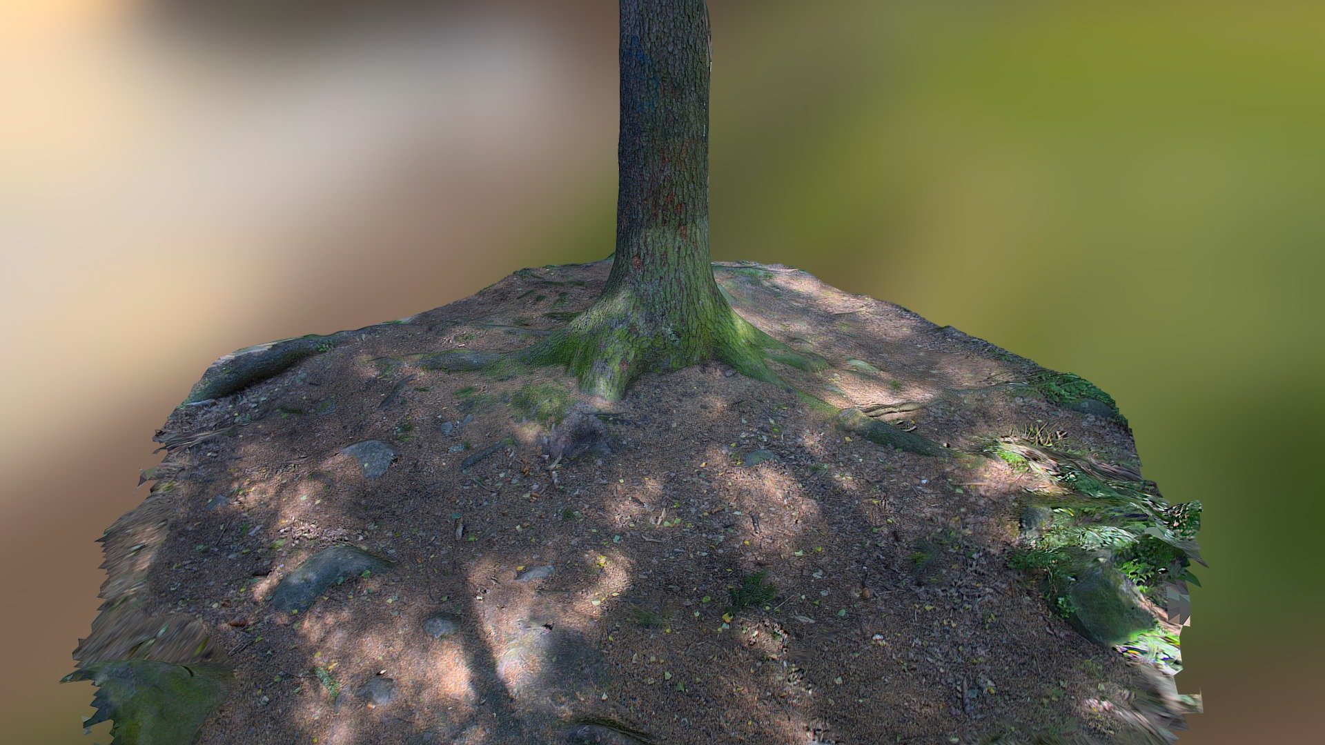 Tree Base