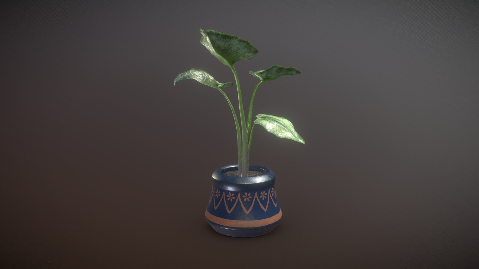 Tropical Pot Plant