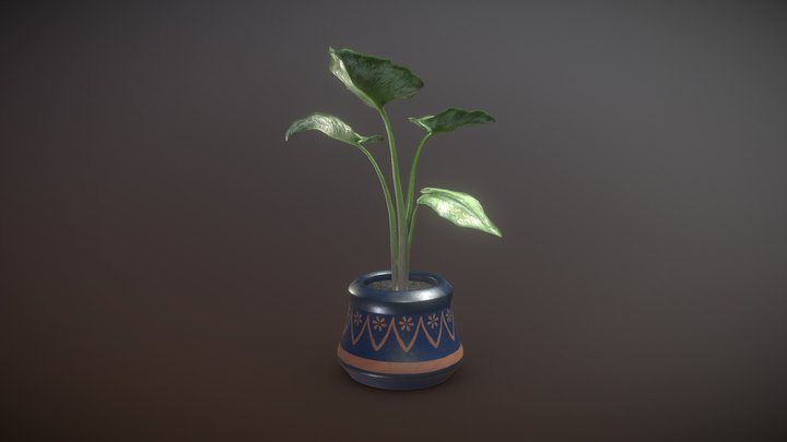 Tropical Pot Plant 3D Model