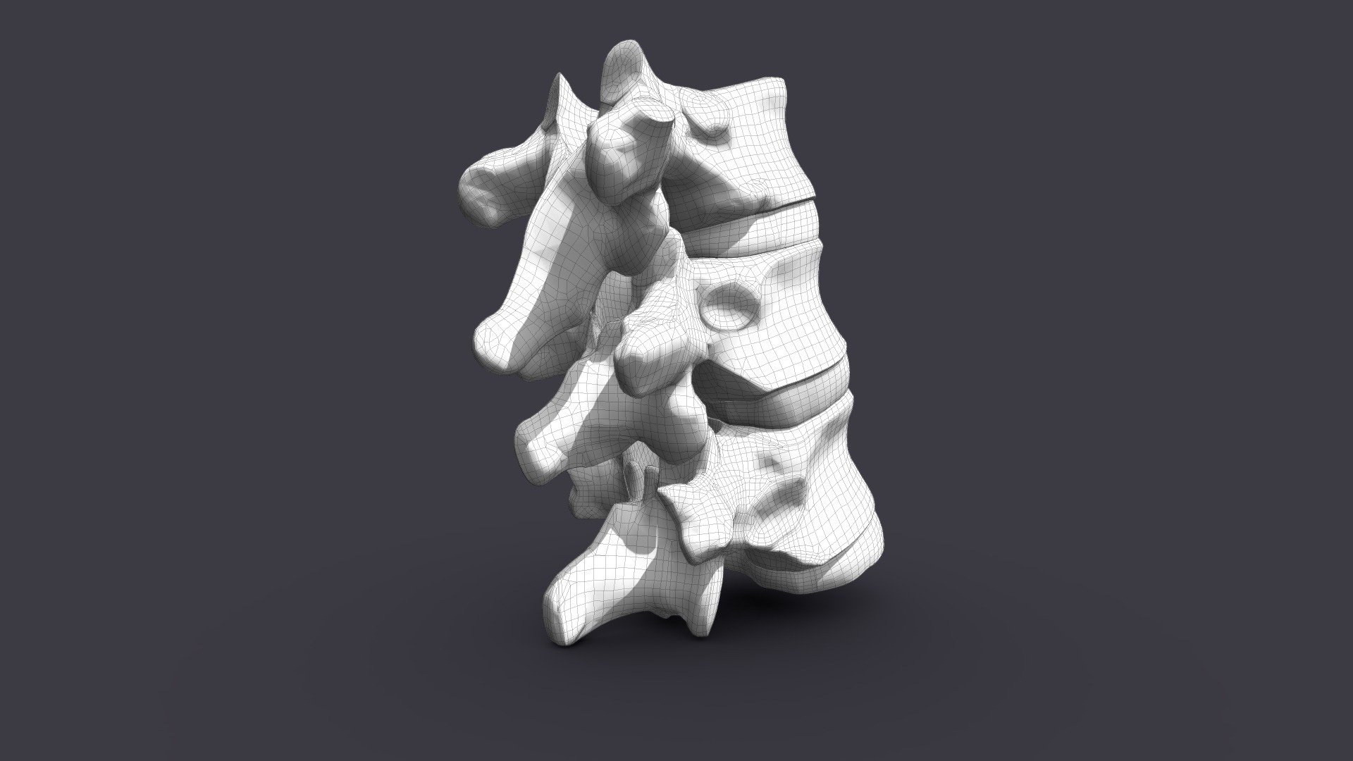 Vertebral joint