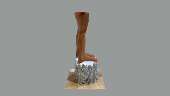 Legs 3D Model