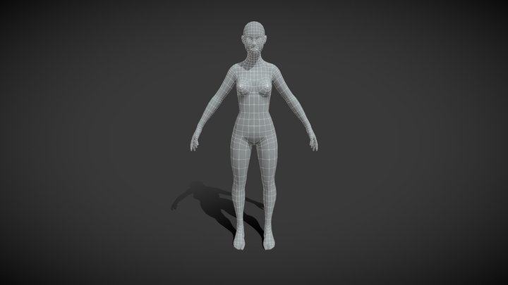Female Body Base Mesh 3D Model 3D Model