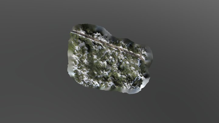 Oldstown Model Test 3D Model