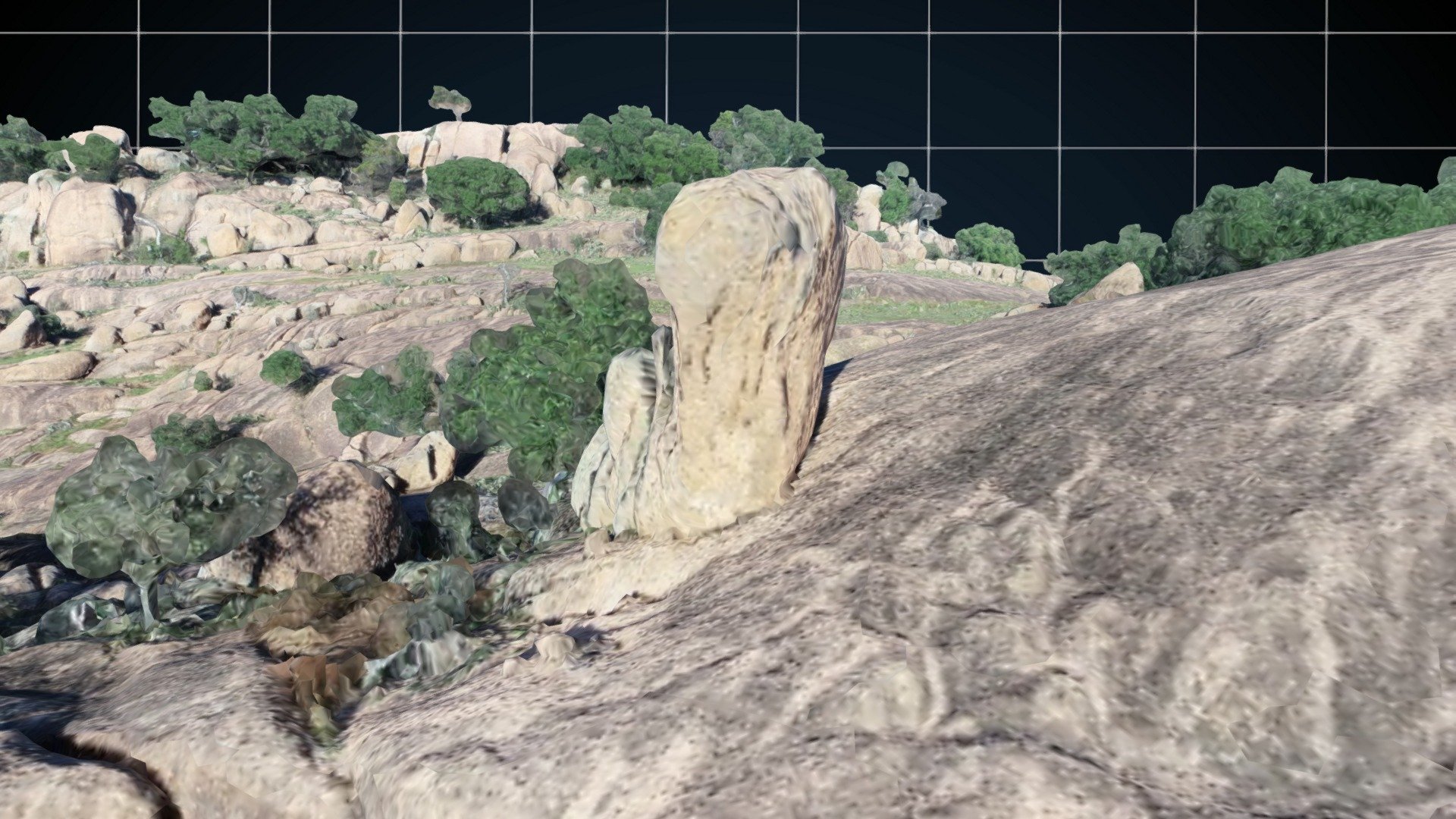 Whale's Head Rock - Inks Ranch, Llano, Texas - 3D model by Maverick ...