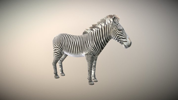Zebra_lowpoly Material test 3D Model