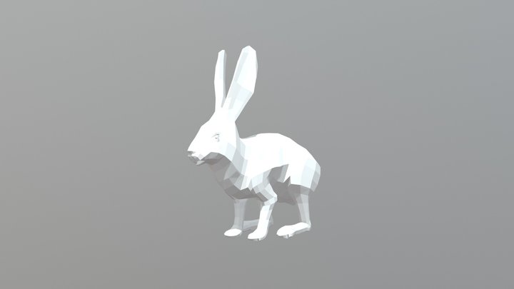 Rabbit Orictolagus 01 3D Model