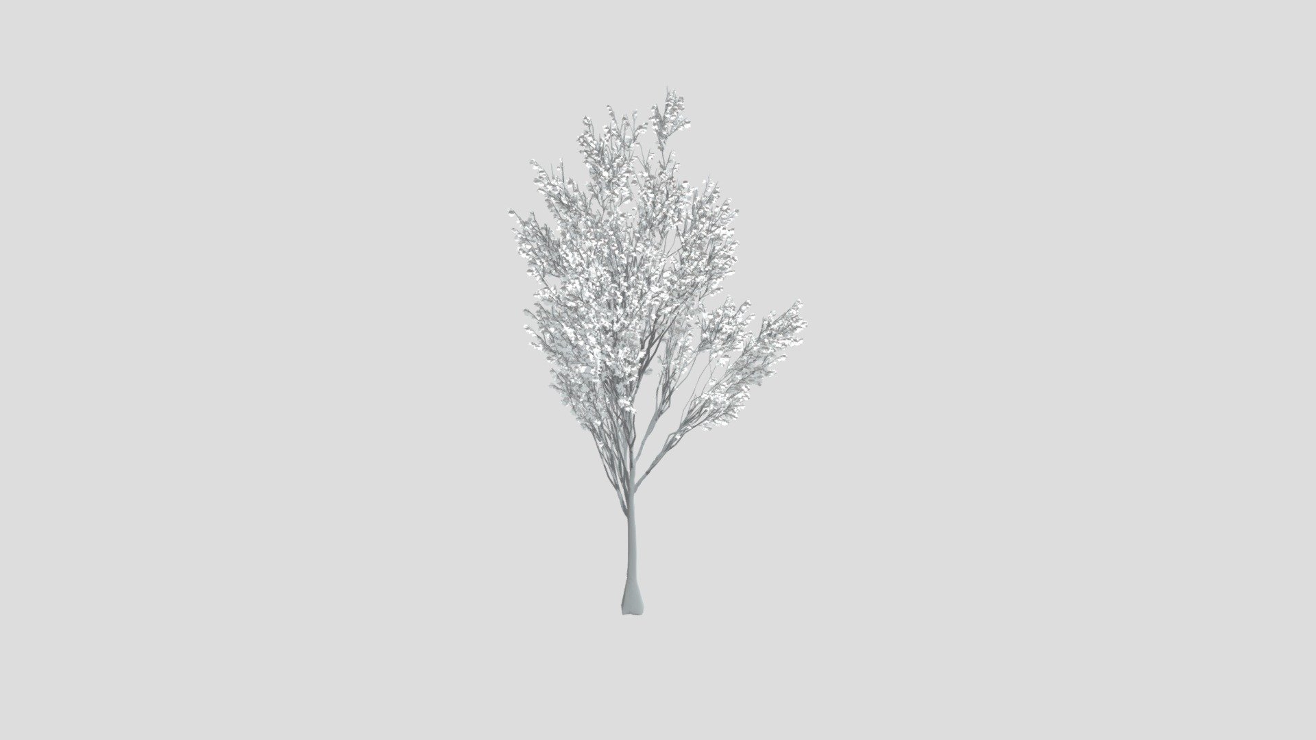 Tree Maple Thin - Download Free 3D model by prakashkakadiya2222 ...