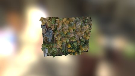 Forest planning 3D Model