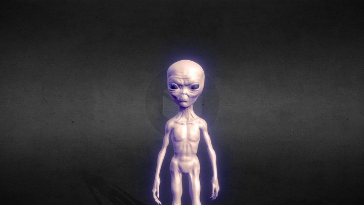 Grey alien 3D Model