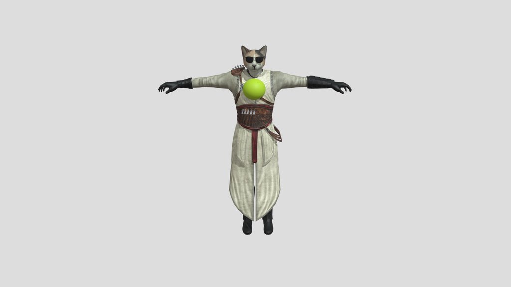 Cat assassin