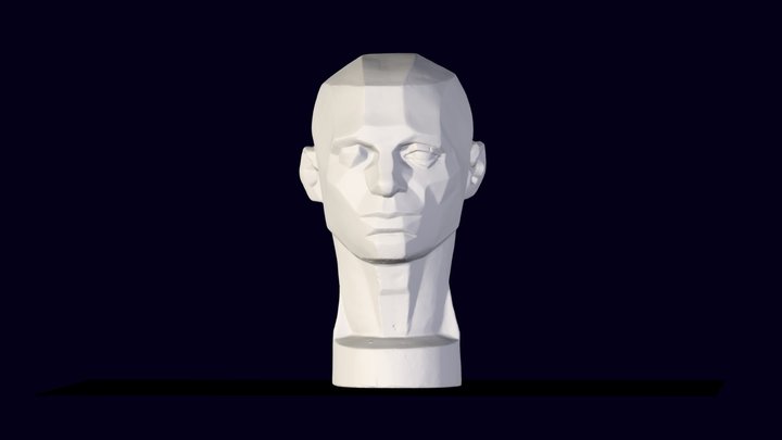 planes of the head 3D Model