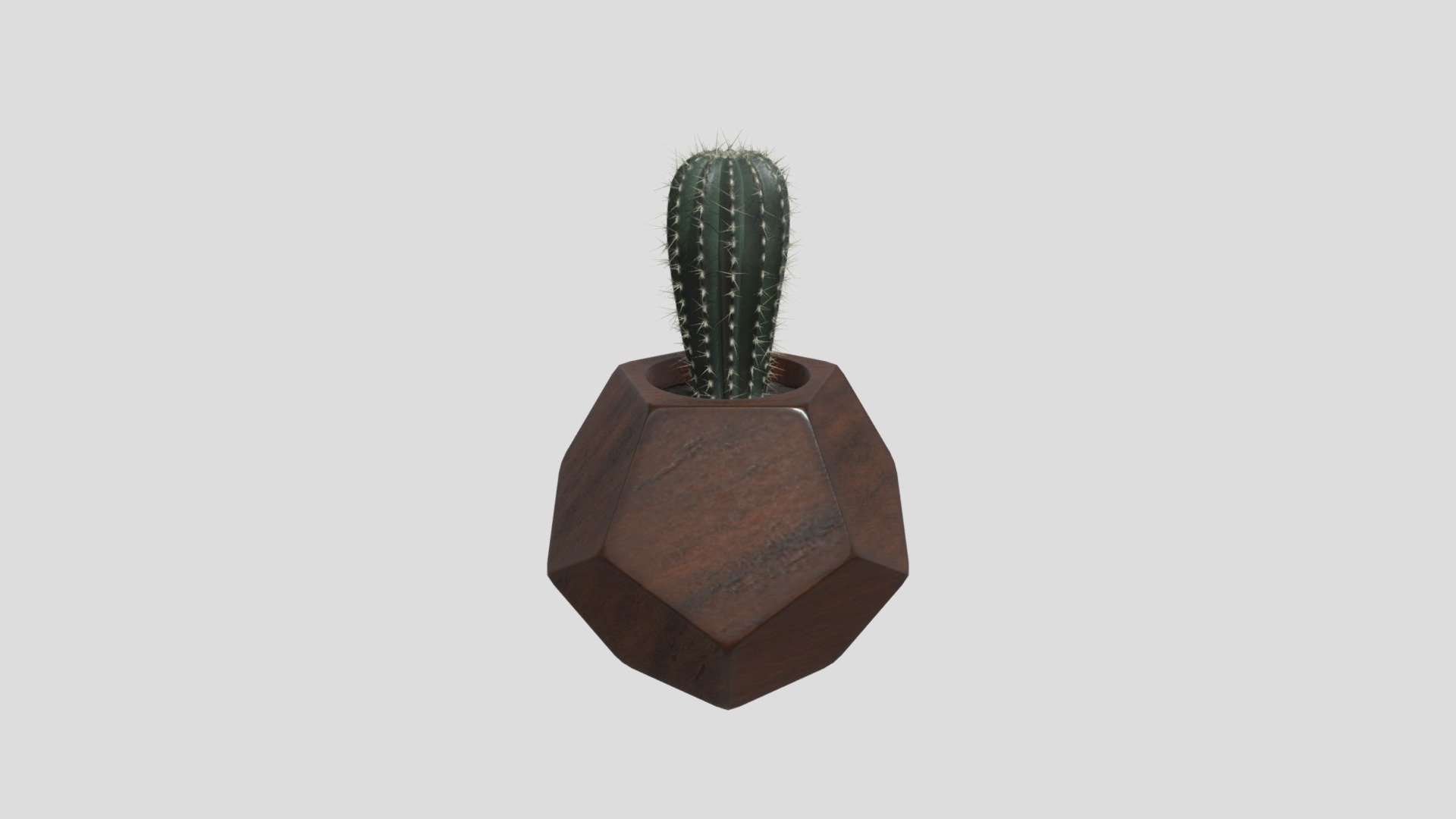 Geo Planter