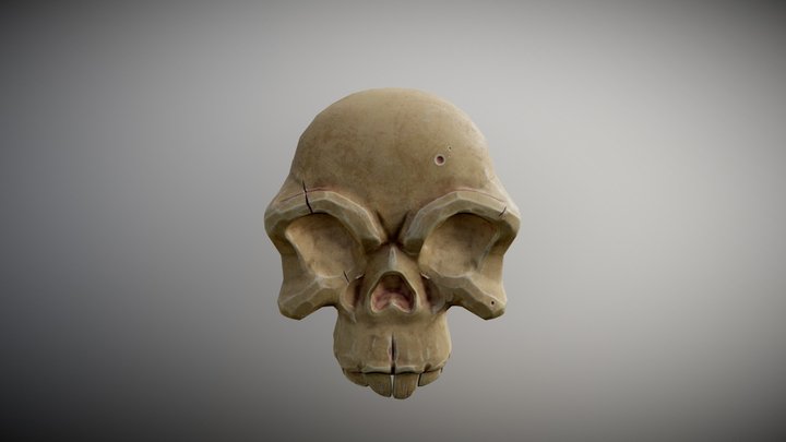 Skull stylized 3D Model