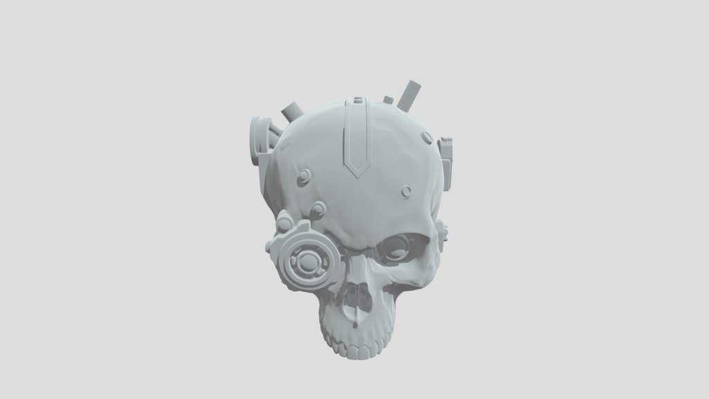 Cybernetic Skull