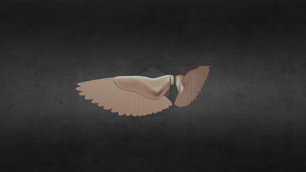 Wings
