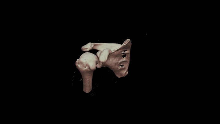 MAHENDRA BARMEDA 3D Model