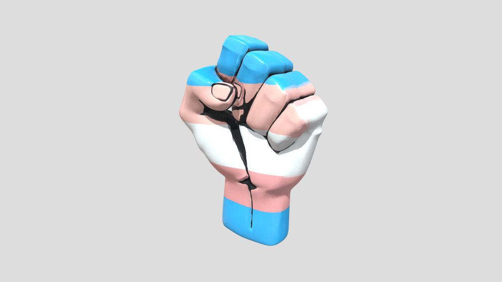 Transgender Punch Flag
