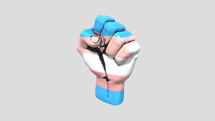 Transgender Punch Flag