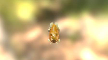 Gold Fish 3D Model