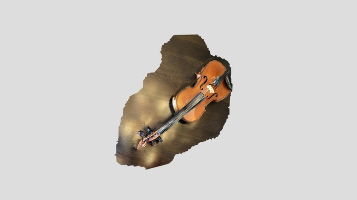 die Geige 3D Model