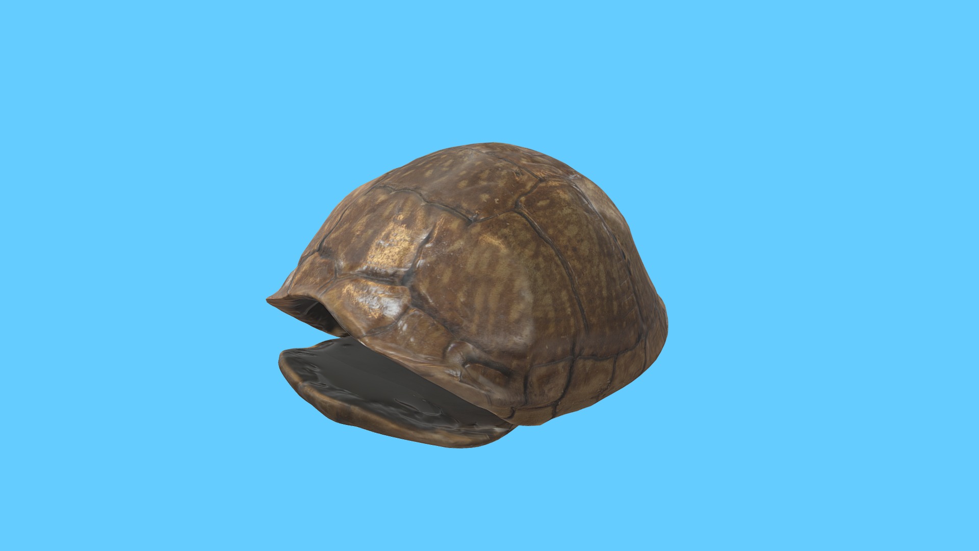 3D model Turtle Shell - This is a 3D model of the Turtle Shell. The 3D model is about a turtle swimming in the water.