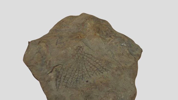 Sulphur fossil 03 3D Model
