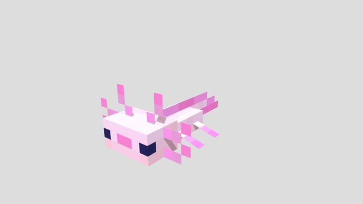 Minecraft Axolotl 3D Model