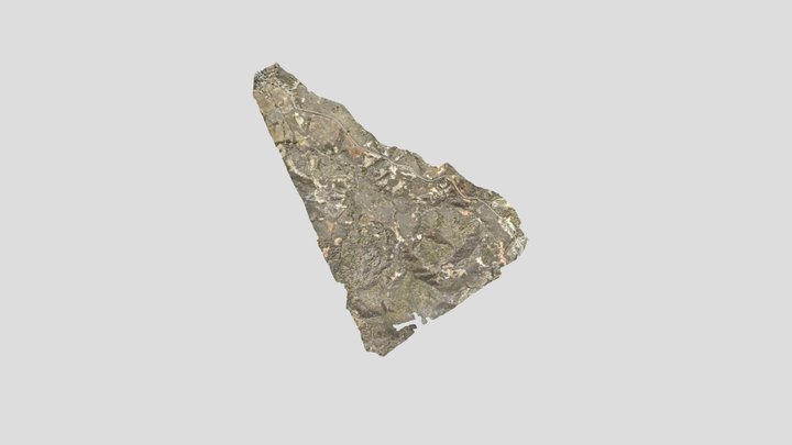 jaltepec 200 ha final_simplified_3d_mesh 3D Model