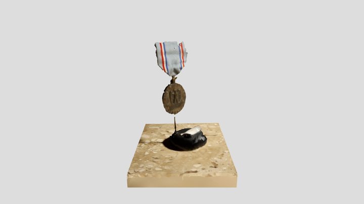Air Force Medal for Good Conduct (low quality) 3D Model