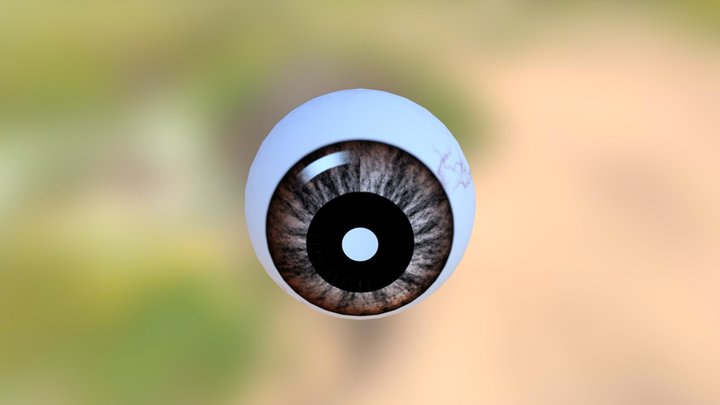 Eyeball 3D Model
