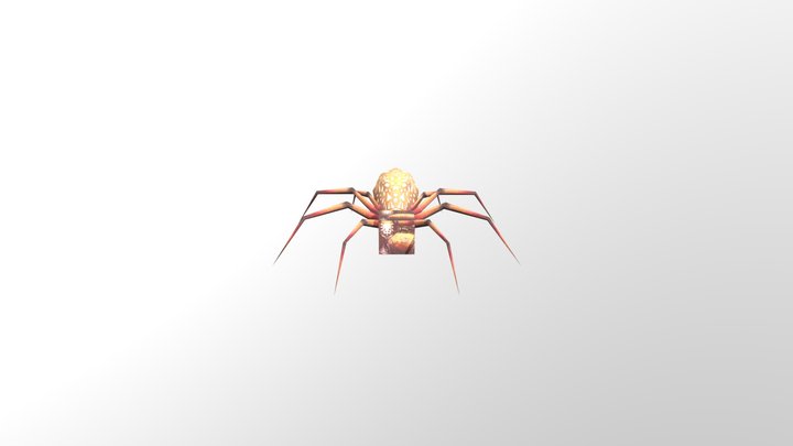Spider animation
