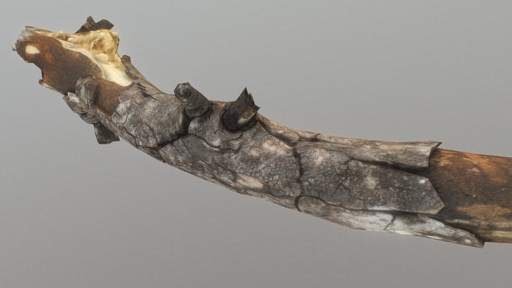 Full Photoscan Stick - DM for high quality 3D Model