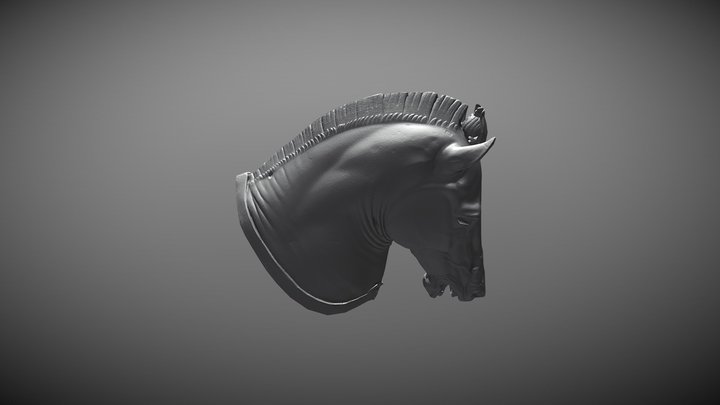 Horse Head Retopology by Jan Saleyko 3D Model