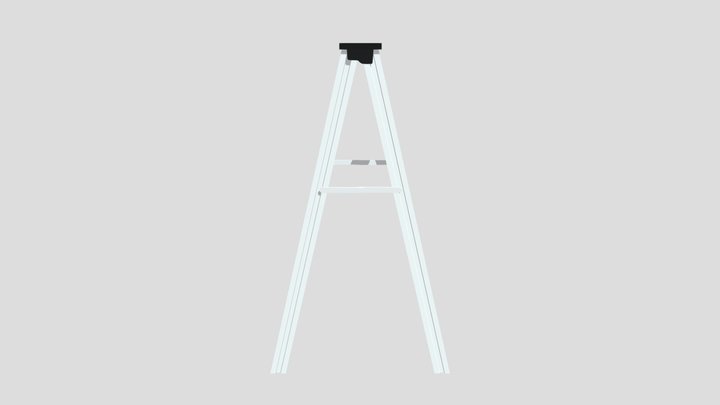 Step ladder 3D Model