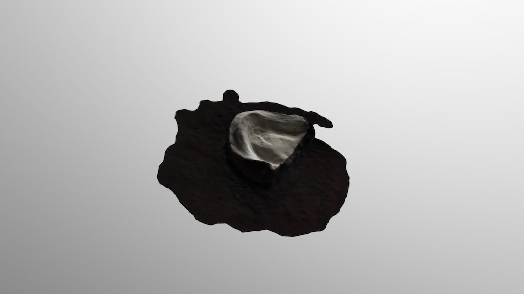 Dental cast