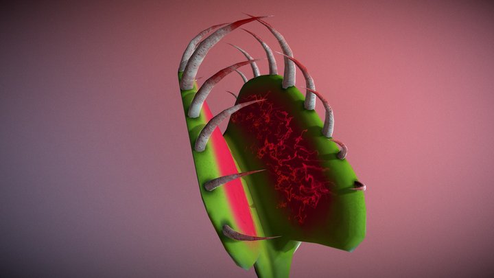 Flytrap with fangs covered in blood
