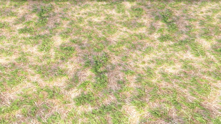 Rough dry short grass soil