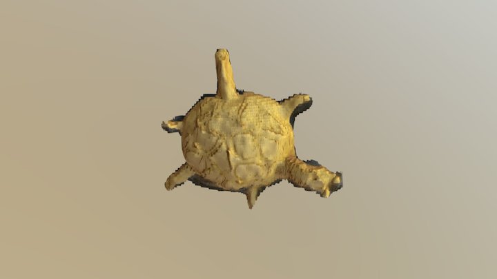Turtle - test 3D Model