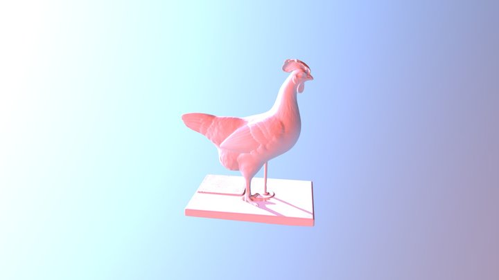 Gallina Animada 3D Model