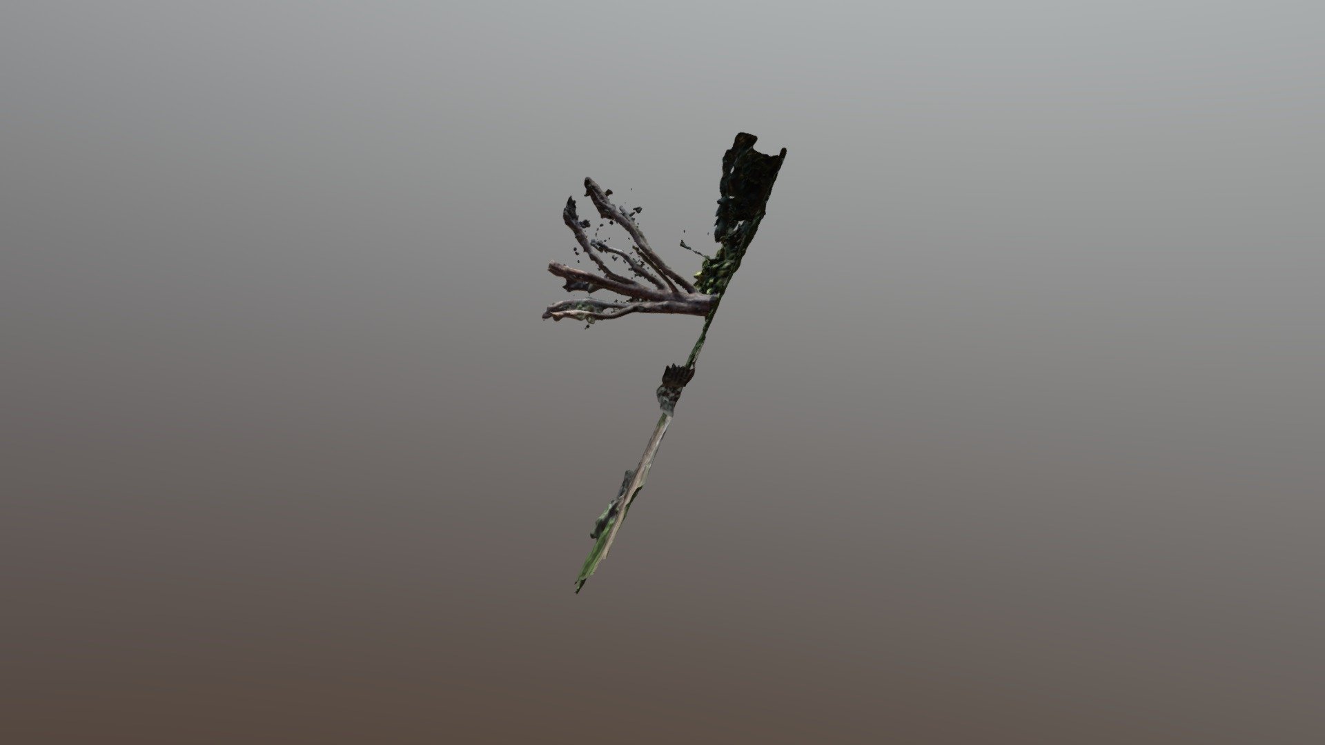 3D photogrametry