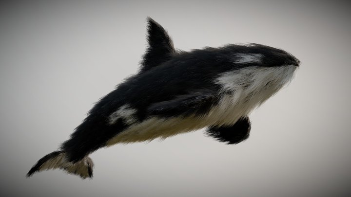 Furry orca 3D Model