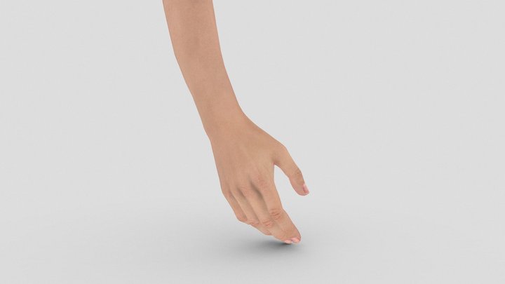 Female Hand and Arm 3D Model