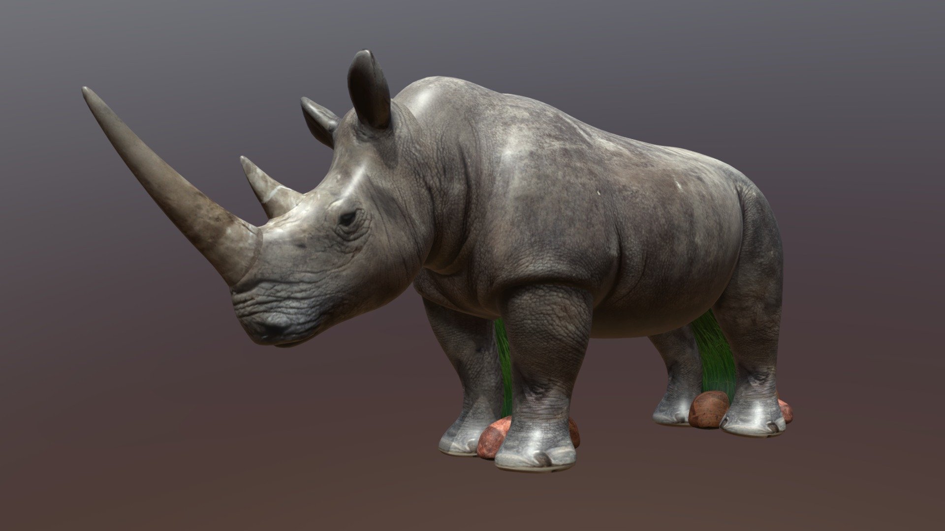 Rhino 6ft Custom Shape Scketchfab