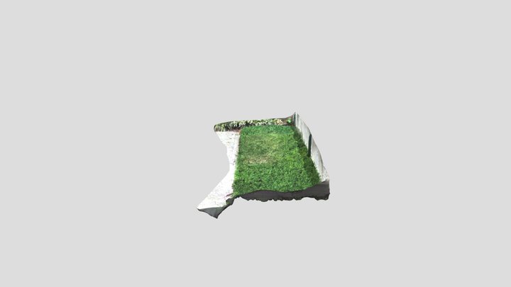 Grass - Micro Test 3D Model
